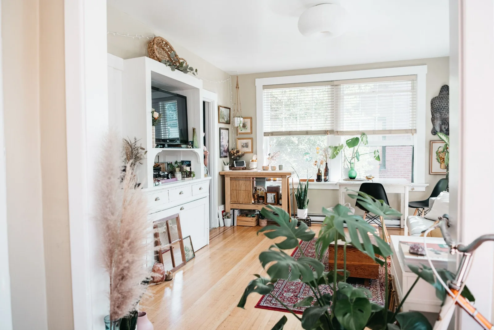 Sunny living room with plants and a big window